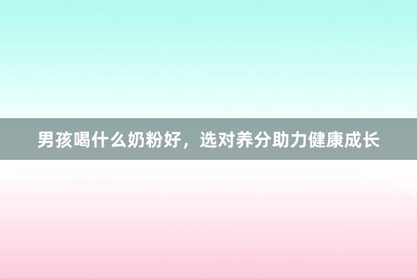 男孩喝什么奶粉好，选对养分助力健康成长